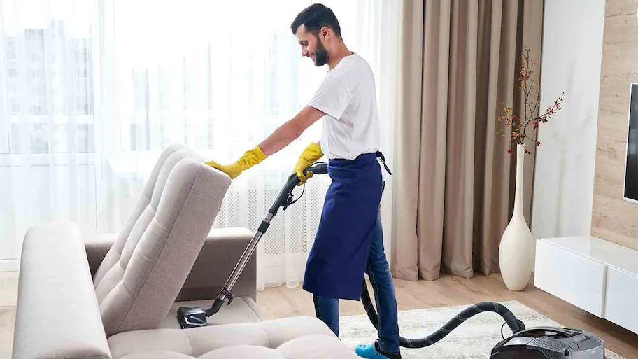 Sofa cleaning